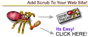 Scrub The Web